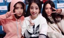 52吃瓜爆料免费吃瓜视频 明星黑料都是怎么扒出来的,52吃瓜爆料，明星黑料背后的秘密追踪