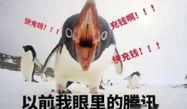 qq瓜群 今日吃瓜网址免费 独家爆料文轩,独家爆料文轩，免费网址带你畅游瓜群盛宴